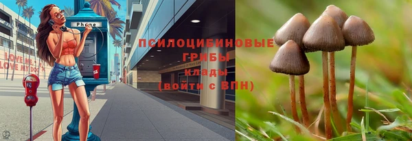 герыч Бугульма